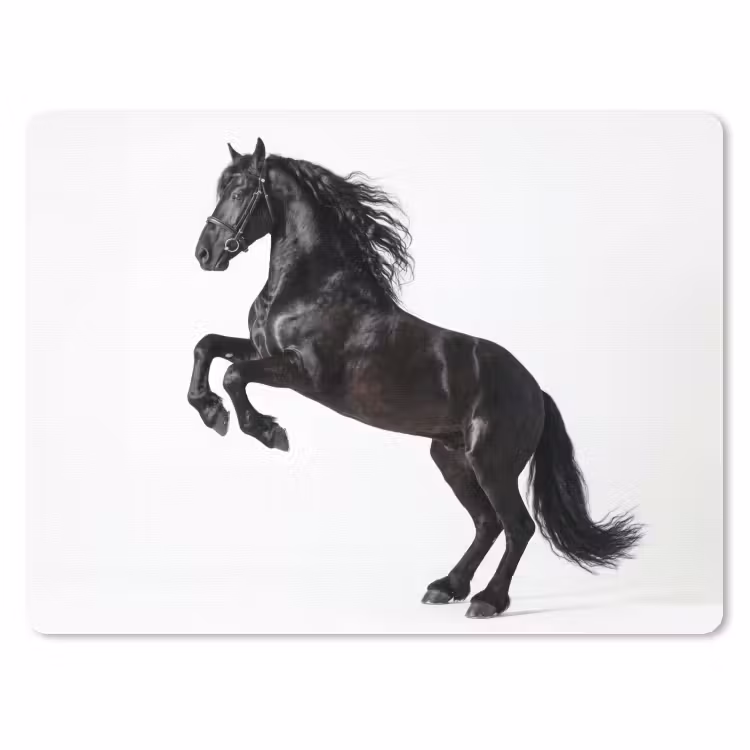 Zwart - Paard - Portret muismat rubber klein -3d