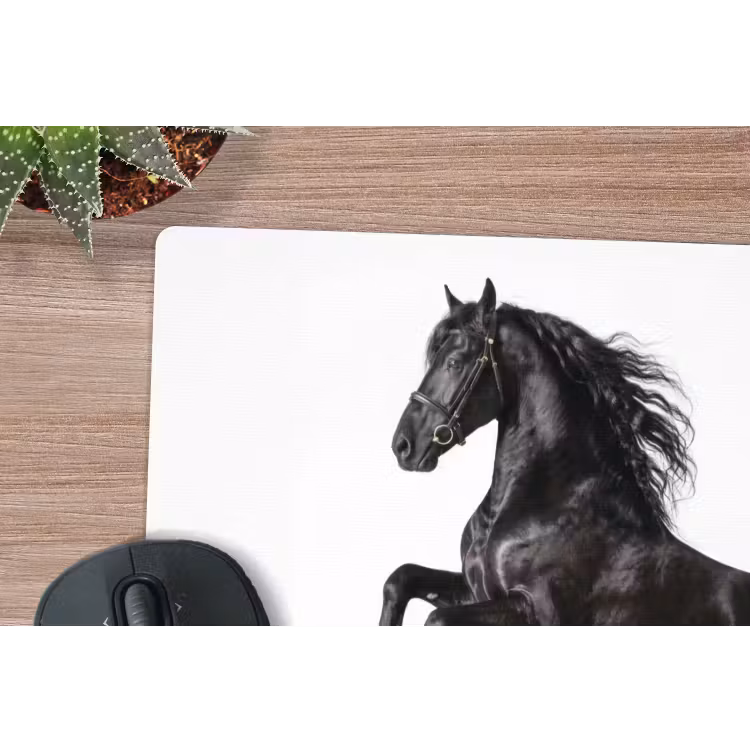 Zwart - Paard - Portret muismat rubber klein -closeup