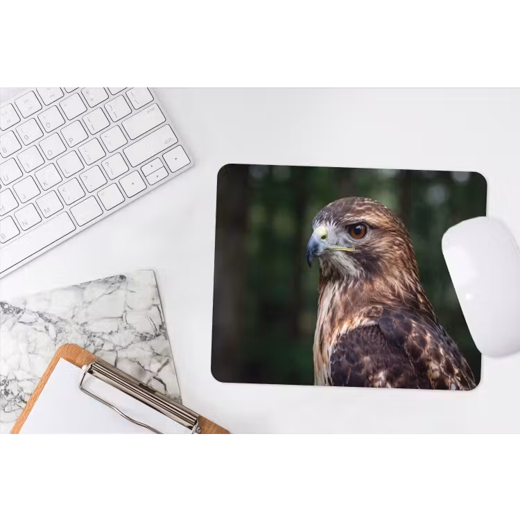Buizerd - Roofvogel - Natuur - Bruin muismat rubber klein -witbureau