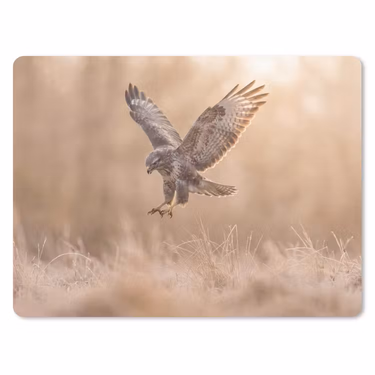 Buizerd - Roofvogel - Natuur - Bruin muismat rubber klein -3d