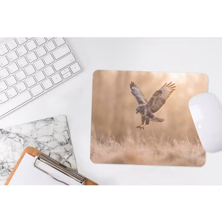 Buizerd - Roofvogel - Natuur - Bruin muismat rubber klein -witbureau