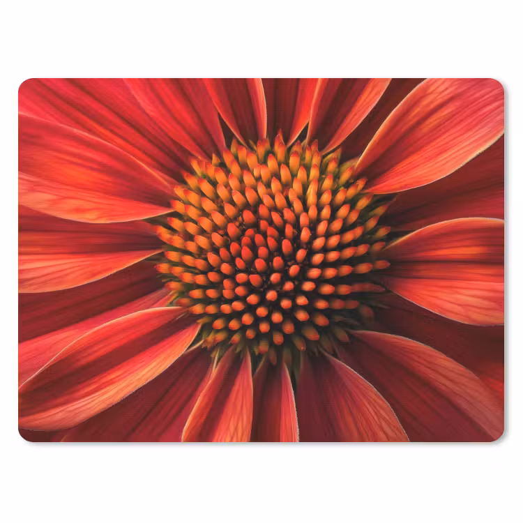 Close up - Bloem- Rood muismat rubber klein -3d