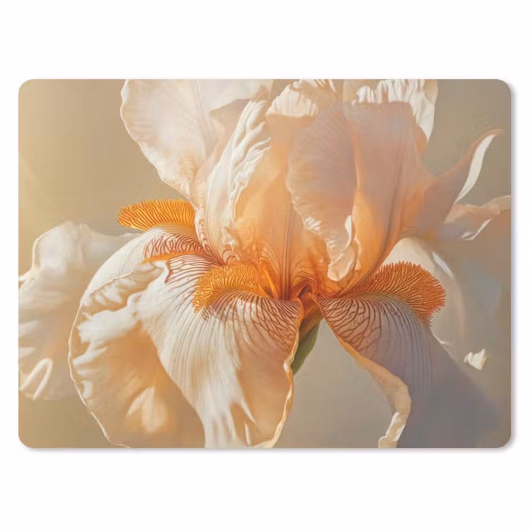 Close up - Oranje - Iris muismat rubber klein -3d