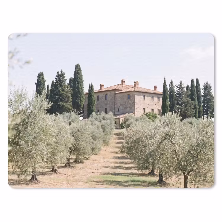 Mouse Pad - Country house - olive tree - orchard - Landhuis - olijfboom - gaard muismat rubber klein
