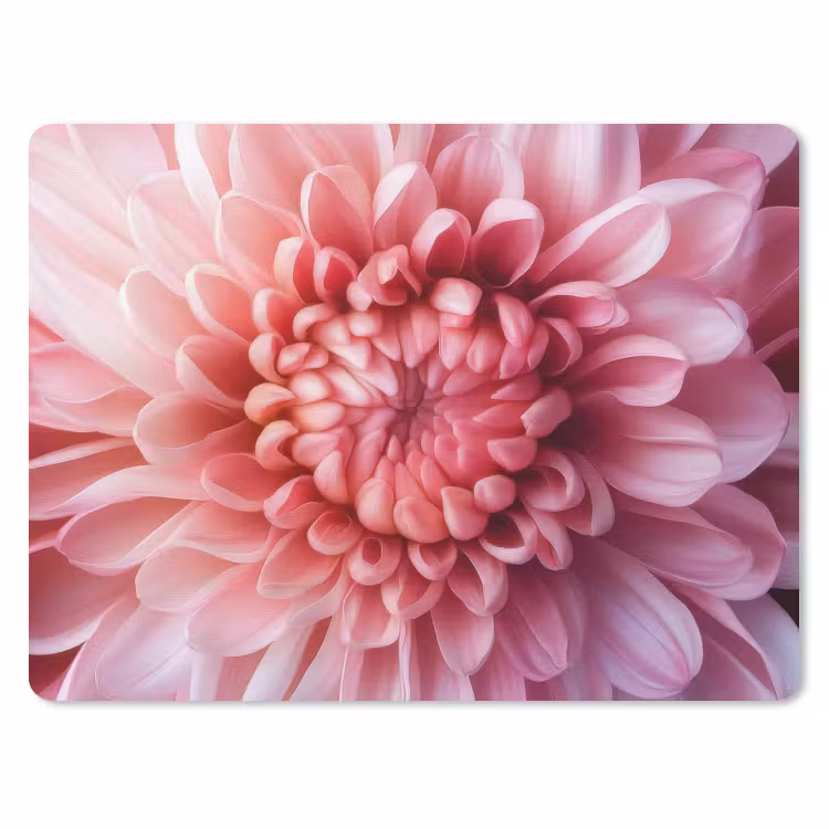 Dahlia - Bloem - Close up - Roze muismat rubber klein -3d