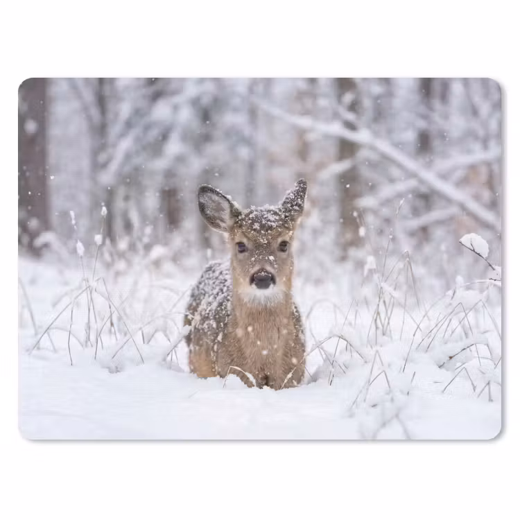 Hert - Sneeuw - Bos - Dieren - Vertederend muismat rubber klein -3d
