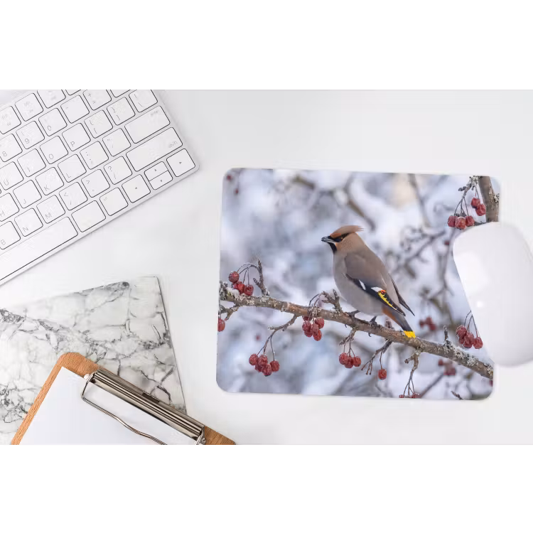 Pestvogel - Bessen - Winter - Natuur muismat rubber klein -witbureau