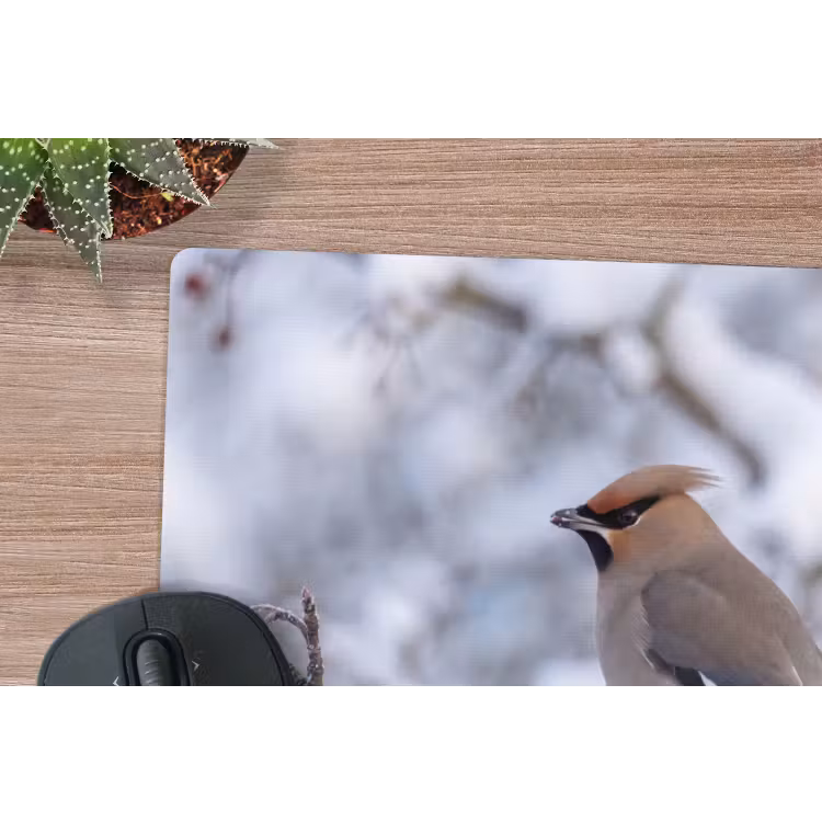 Pestvogel - Bessen - Winter - Natuur muismat rubber klein -closeup