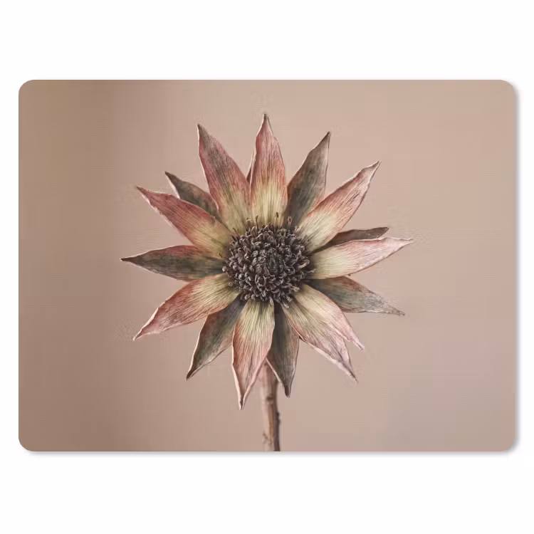 Droogbloem - Protea - Vintage - Beige - Rustiek muismat rubber klein -3d