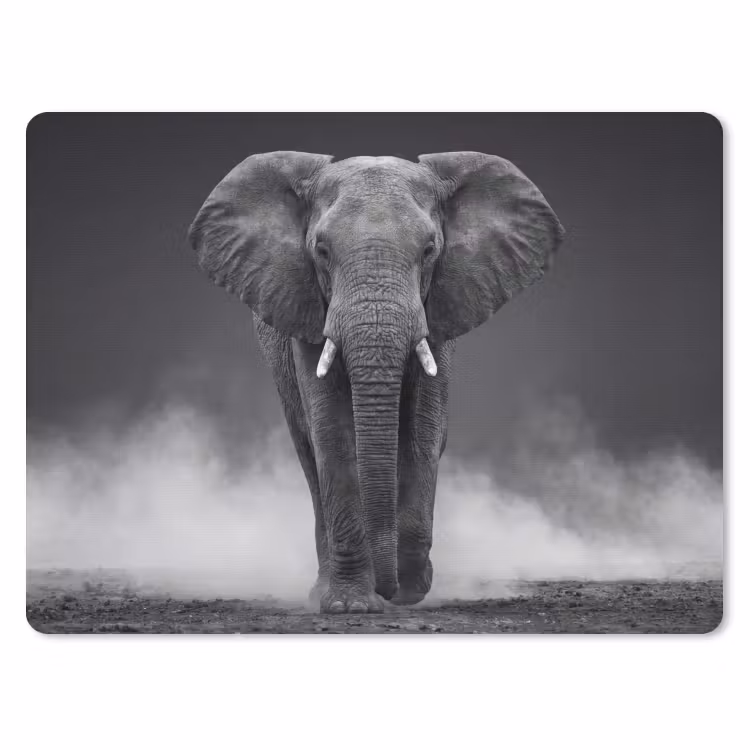 Olifant - Zwart - Wit - Rook muismat rubber klein -3d