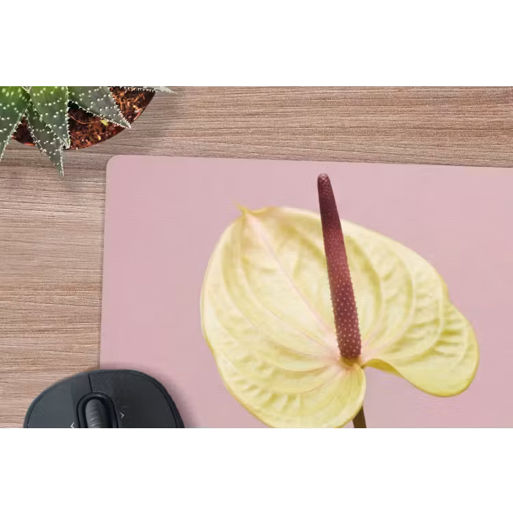 Bloemen - Anthuriums - Geel - Roze muismat rubber klein -closeup