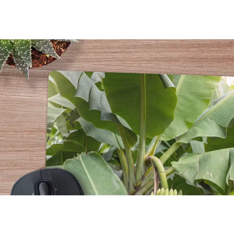 Eten - Bananen - Plantage - Groen muismat rubber klein -closeup