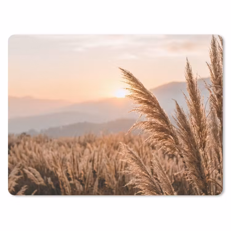 Gras - Veld - Zon - Natuur muismat rubber klein -3d
