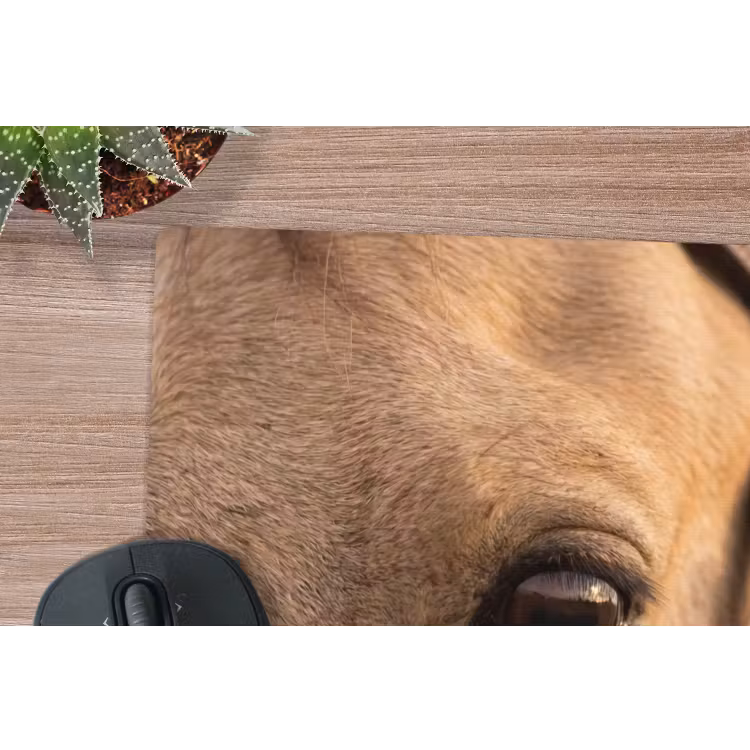 Paard - Oog - Bruin muismat rubber klein -closeup
