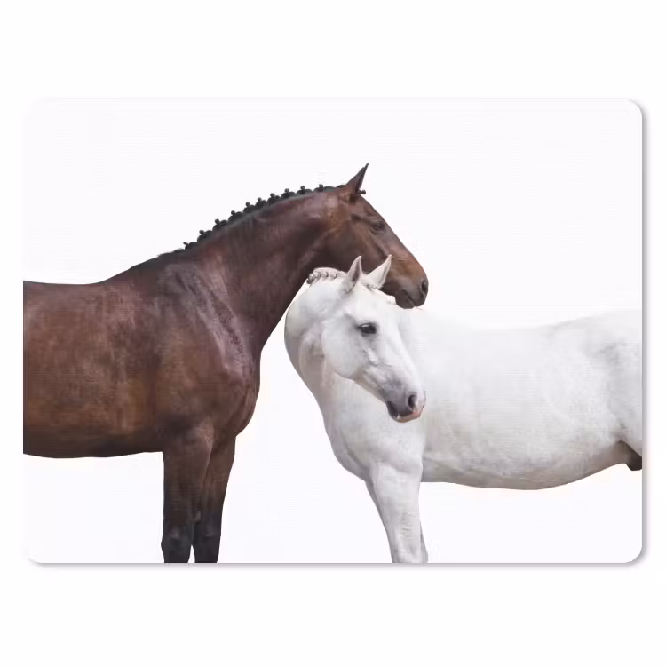 Paard - Modern - Balans muismat rubber klein -3d