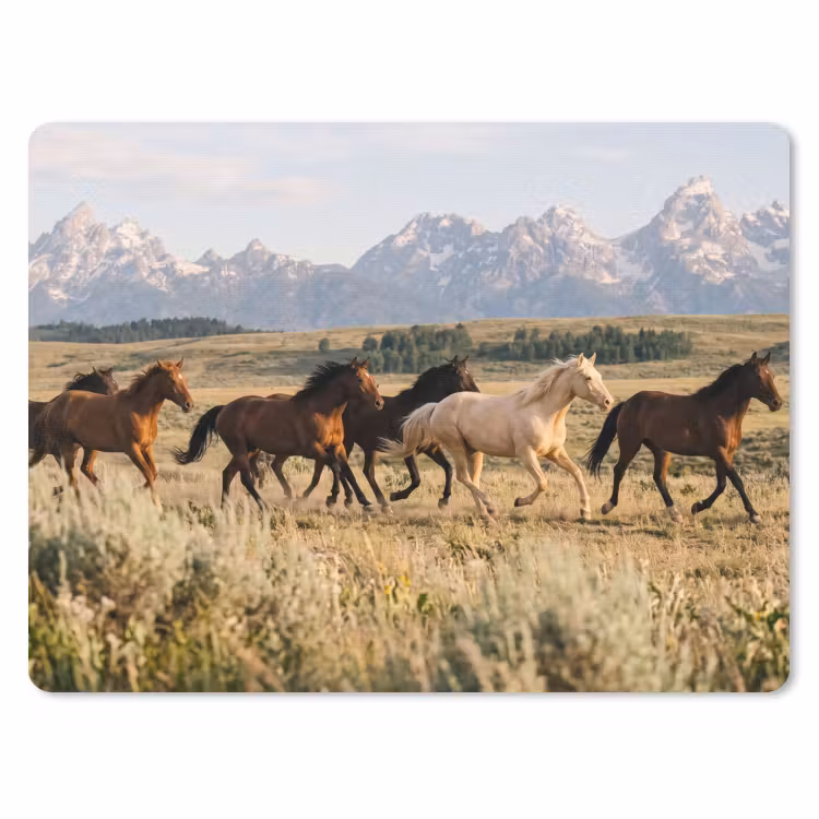 Paarden - Kudde - Bergen - Vrijheid - Wild muismat rubber klein -3d
