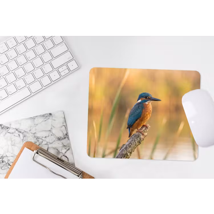 IJsvogel - Tak - Water - Kleurrijk - Levendig muismat rubber klein -witbureau