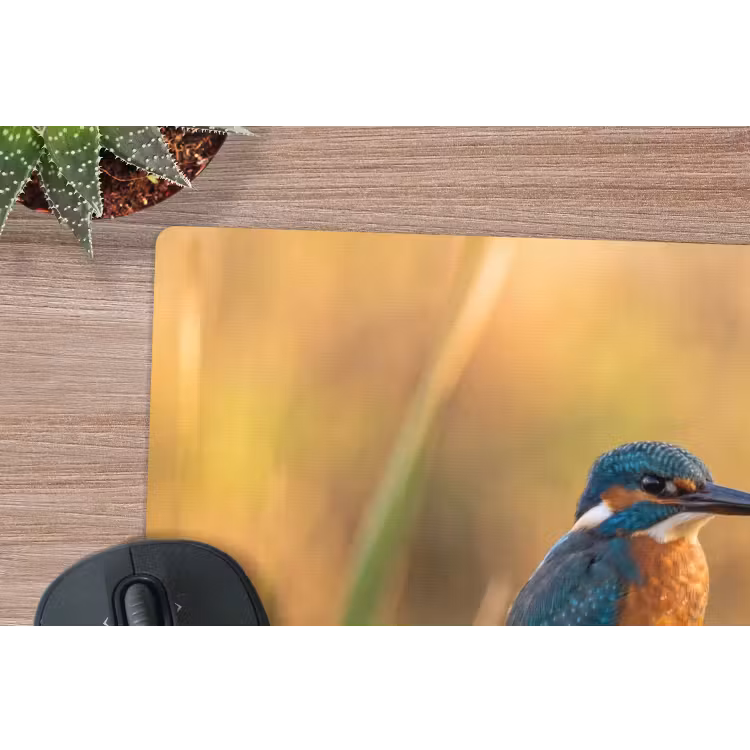 IJsvogel - Tak - Water - Kleurrijk - Levendig muismat rubber klein -closeup