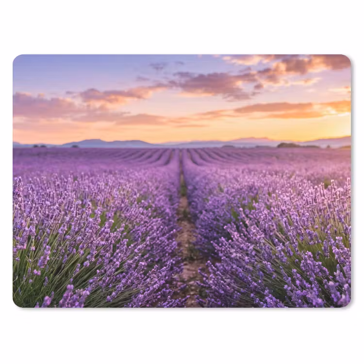 Lavendel - Veld - Natuur - Paars muismat rubber klein -3d