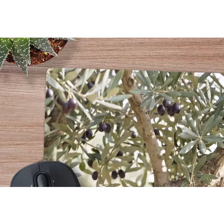 Mouse Pad - Olive tree - branch - green - Olijfboom - tak - groen muismat rubber klein