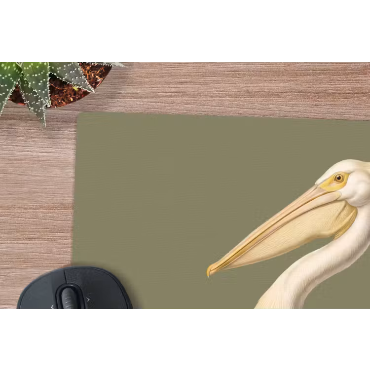 Pelikaan - Wit - Vogel - Klassiek - Natuur muismat rubber klein -closeup