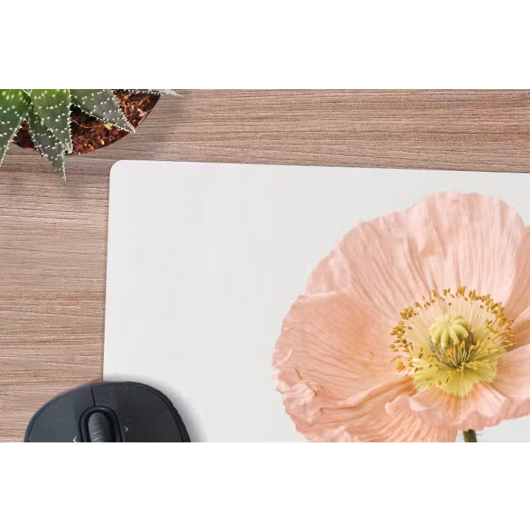 Papavers - Botanisch - Roze muismat rubber klein -closeup