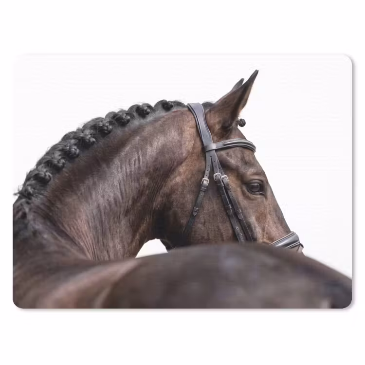 Portret - Paard - Elegant muismat rubber klein -3d