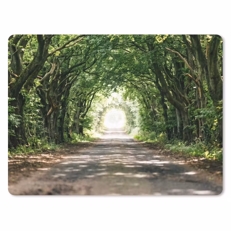 Weg - Bomen - Natuur - Groen muismat rubber klein -3d