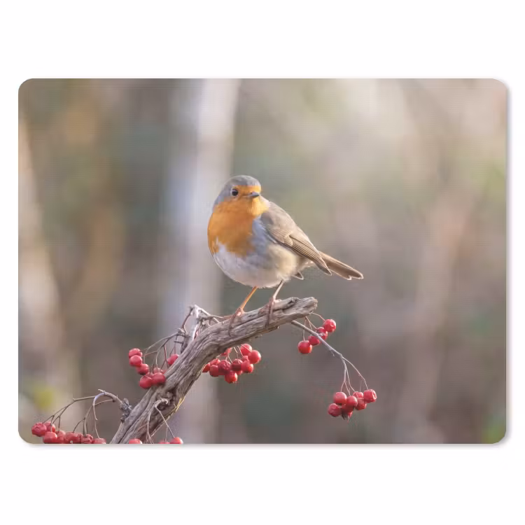 Roodborst - Tak - Bessen - Natuur muismat rubber klein -3d