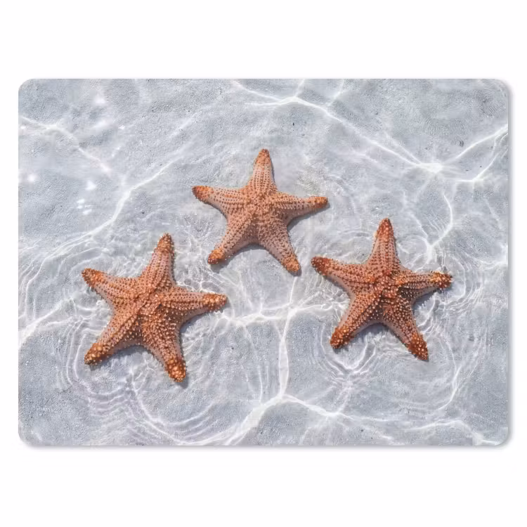 Zeesterren - Water - Helder muismat rubber klein -3d