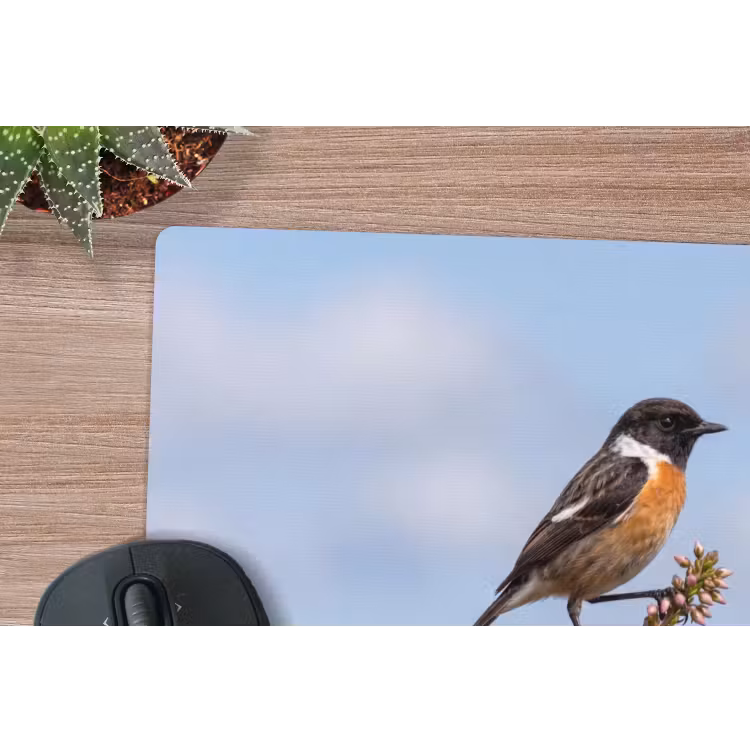 Roodborsttapuit - Heide - Paars - Natuur - Sfeervol muismat rubber klein -closeup
