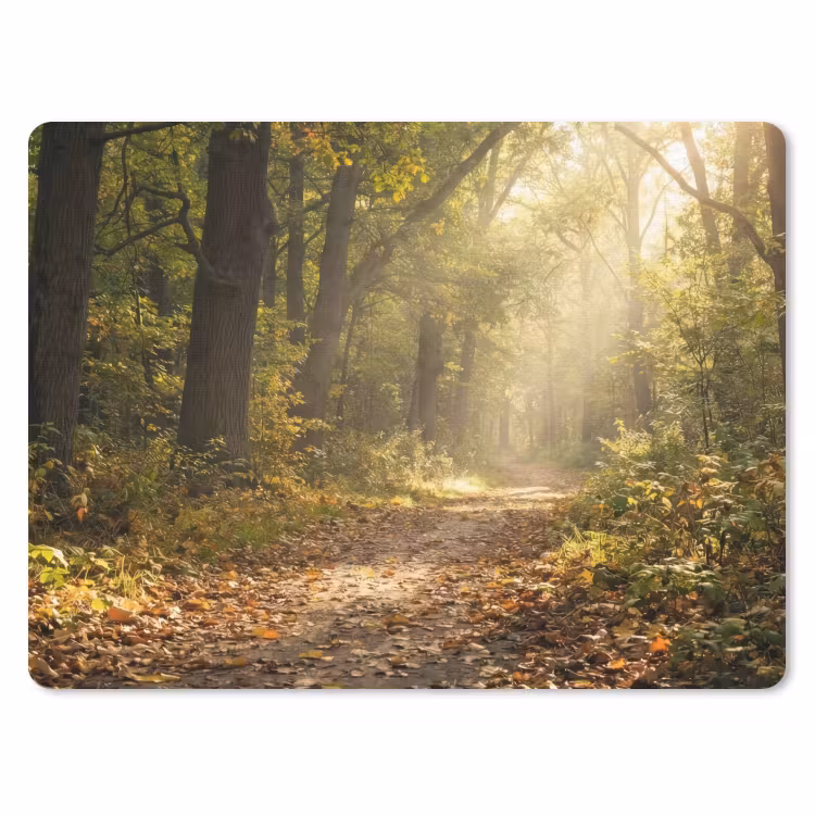 Zonlicht - Bospad - Bomen muismat rubber klein -3d