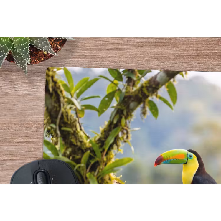 Toekan - Jungle - Natuur - Kleurrijk muismat rubber klein -closeup