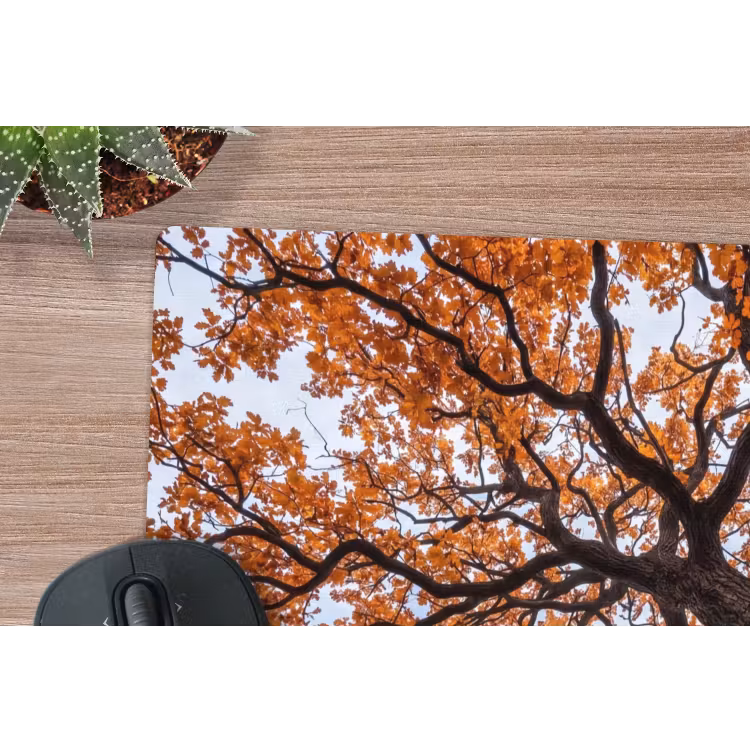 Boom - Bladerdak - Herfst - Oranje - Sfeervol muismat rubber klein -closeup
