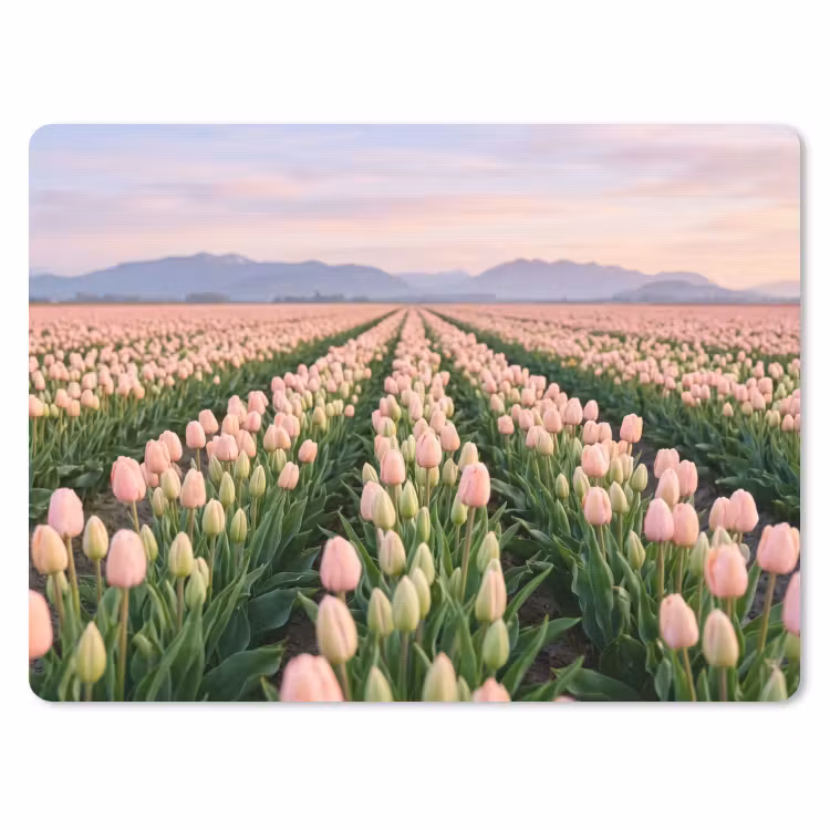 Tulpen - Landschap - Roze muismat rubber klein -3d