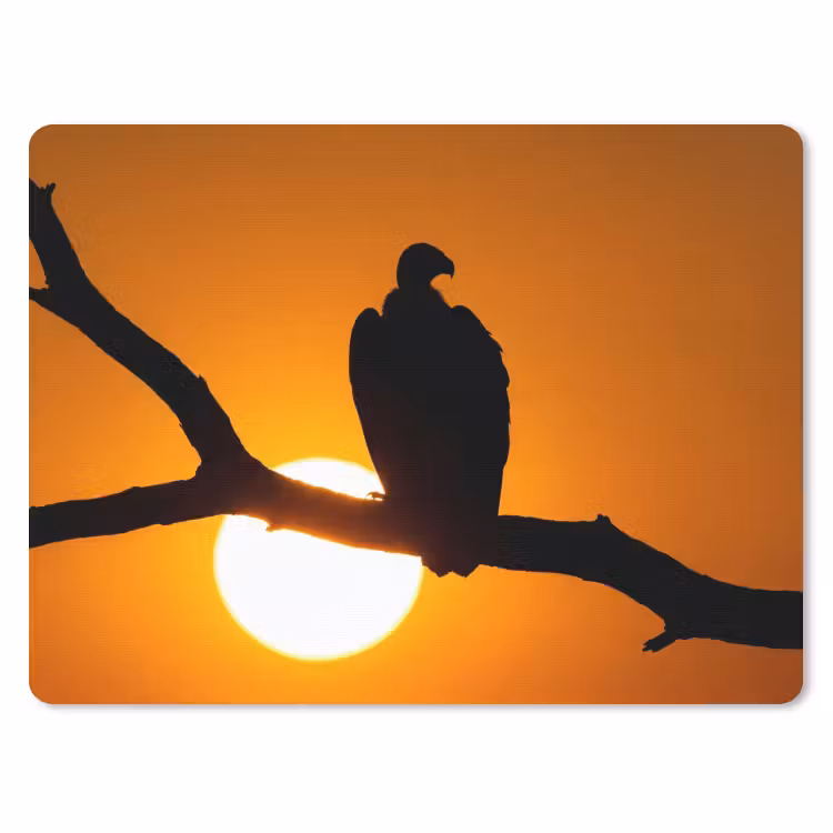 Gier - Tak - Zon - Oranje muismat rubber klein -3d