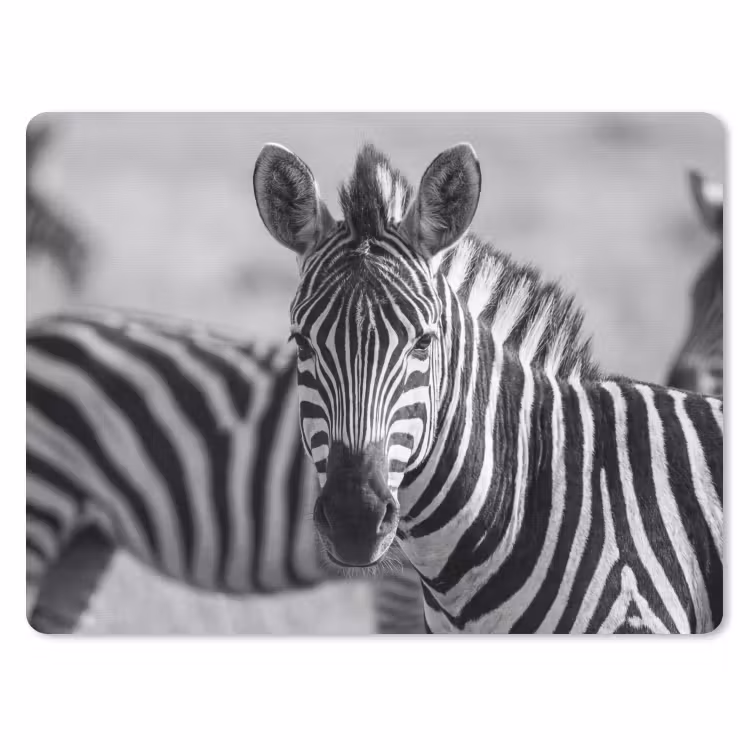 Zebra's - Zwart - Wit muismat rubber klein -3d