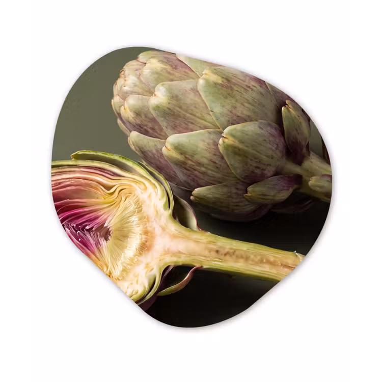 Organic - Forex - Artichoke - Purple - Food - Artisjok - Paars - Voedsel Wandcirkel Organisch Forex 3mm klein