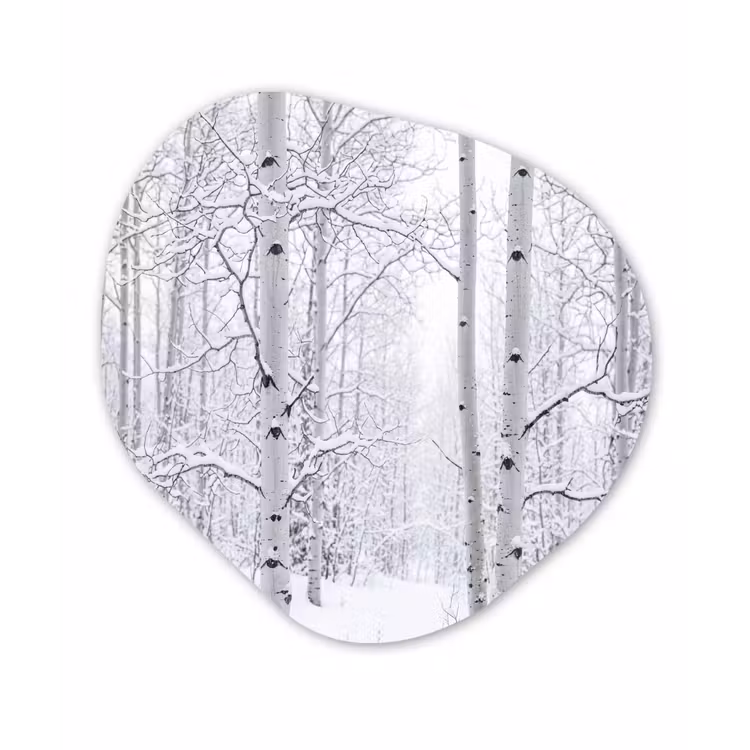Berkenbomen - Sneeuw - Winter - Bos - Wit Wandcirkel Organisch Forex 3mm klein -3d