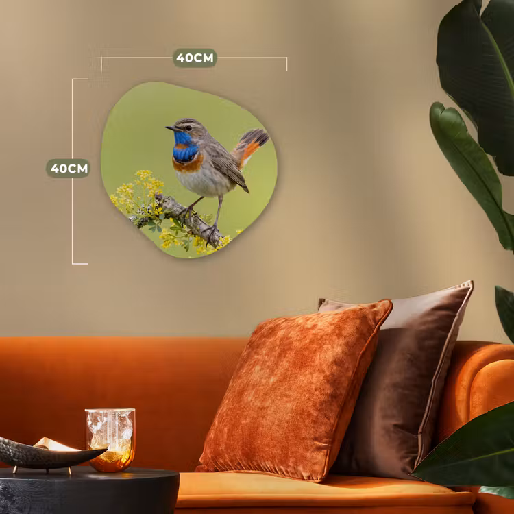 Vogel - Tak - Natuur - Kleurrijk Wandcirkel Organisch Forex 3mm klein -sfeer3
