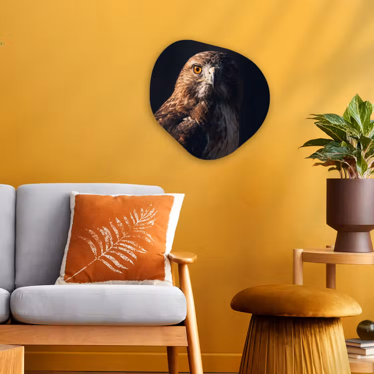 Roofvogel - Buizerd - Bruin Wandcirkel Organisch Forex 3mm klein -sfeer4