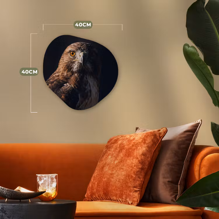 Roofvogel - Buizerd - Bruin Wandcirkel Organisch Forex 3mm klein -sfeer3