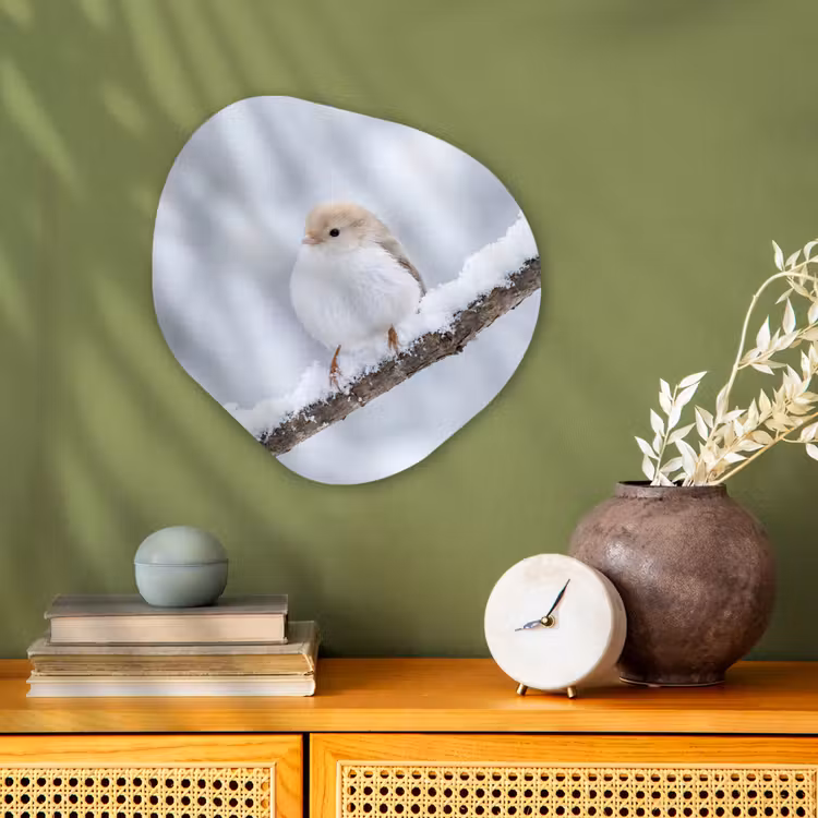 Vogeltje - Sneeuw - Tak - Winter - Zacht Wandcirkel Organisch Forex 3mm klein -sfeer2