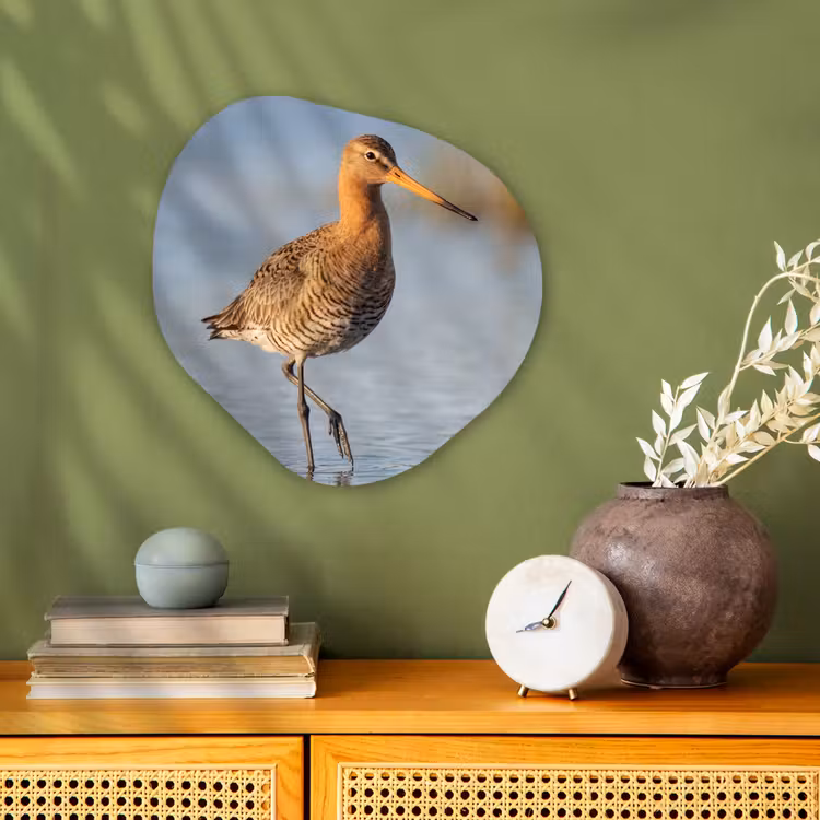 Vogel - Steltloper - Water - Natuur Wandcirkel Organisch Forex 3mm klein -sfeer2