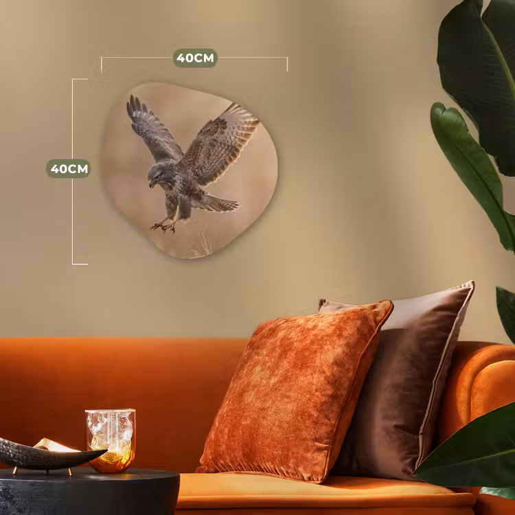 Buizerd - Roofvogel - Natuur - Bruin Wandcirkel Organisch Forex 3mm klein -sfeer3