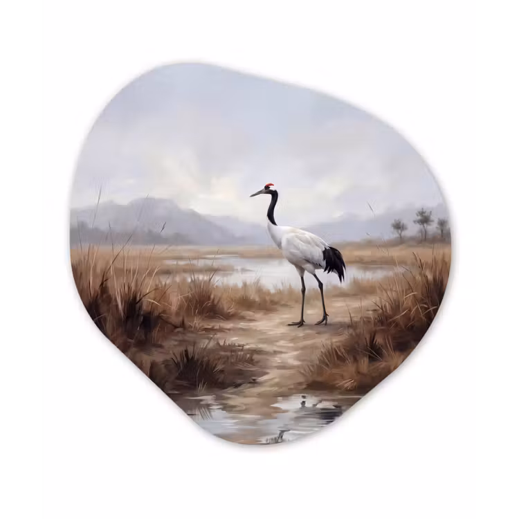 Kraanvogel - Natuur - Realistisch Wandcirkel Organisch Forex 3mm klein -3d