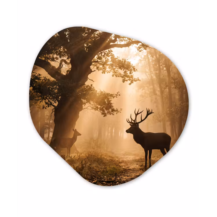 Hert - Bos - Mistig - Natuur - Goud Wandcirkel Organisch Forex 3mm klein -3d