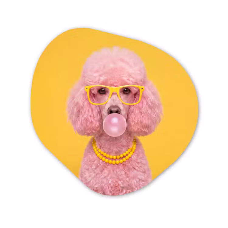 Hond - Kauwgum - Dieren - Modern - Roze Wandcirkel Organisch Forex 3mm klein -3d