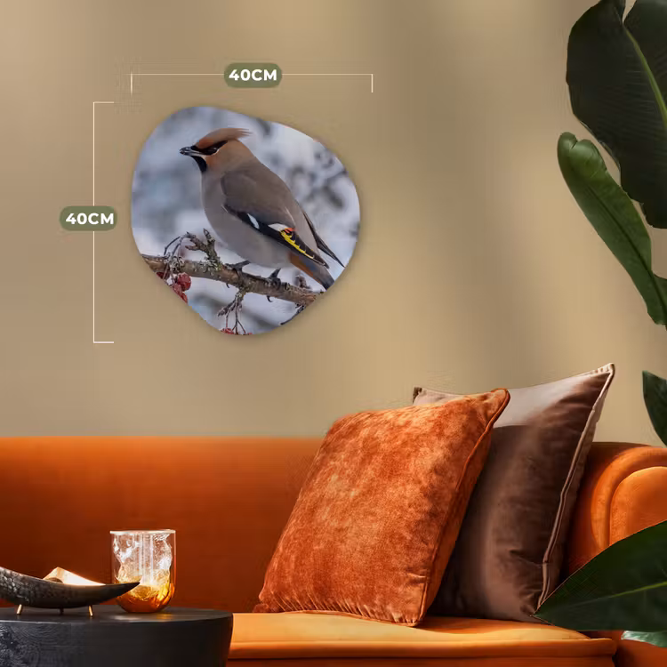 Pestvogel - Bessen - Winter - Natuur Wandcirkel Organisch Forex 3mm klein -sfeer3
