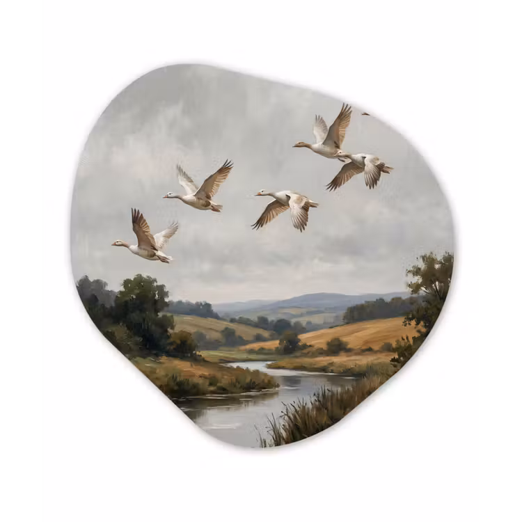 Eenden - Rivier - Landschap - Vlucht - Nostalgisch Wandcirkel Organisch Forex 3mm klein -3d